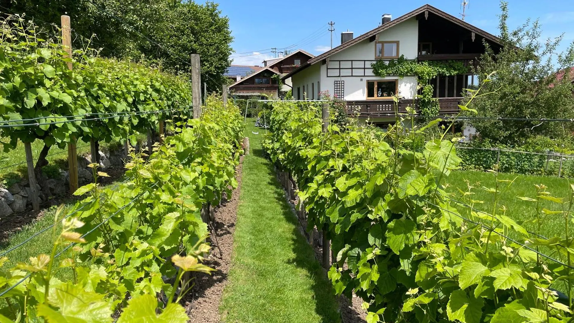 Apartment Am Weinberg Rimsting